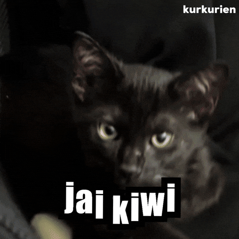 Kiwi GIF