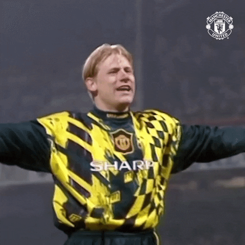 Peter Schmeichel Yes GIF by Manchester United