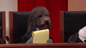 John Oliver Dogs GIF by MOODMAN