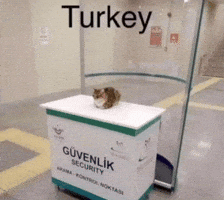 Turkey Security GIF