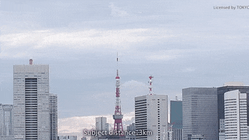 Animated GIF