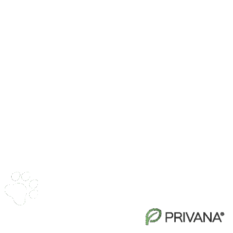 Dogs Footsteps Sticker by PRIVANA.COM
