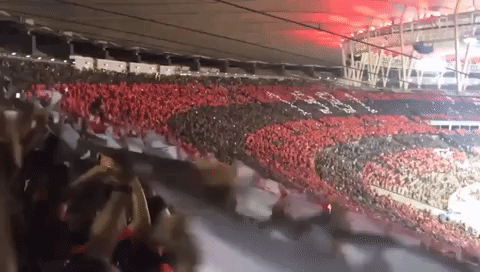 Flamengo GIF - Find & Share on GIPHY