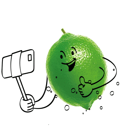 Selfie Peru Sticker by Del Valle&Nada Chile