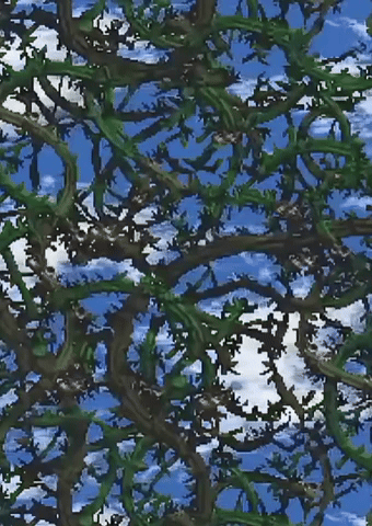 Donkey Kong Country 2 Super Nintendo GIF