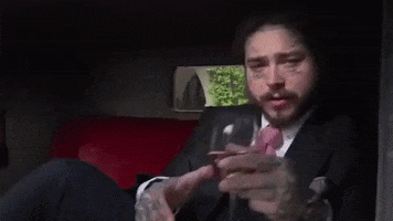 Saint Tropez Cheers GIF by Post Malone