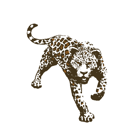 Campesino Rum Sticker