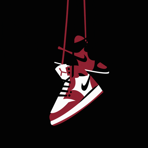 Michael Jordan GIF by Laceitapp