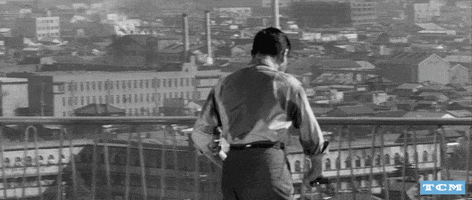 Classic Film Yokohama GIF by Turner Classic Movies