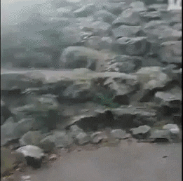Surprise GIF