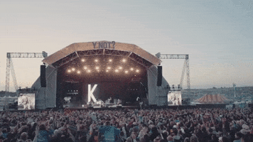 Y Not Festival GIF