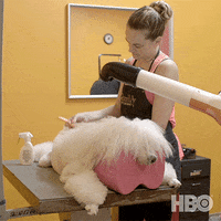 Dogs Grooming GIF by HBO