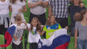 Happy Lets Go GIF by Volleyball World