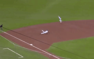 Donaldson Throw GIF