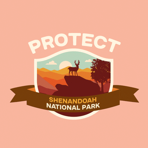 Digital art gif. Inside a shield insignia is a cartoon image of a wild elk with large antlers standing majestically on a dark rock formation amid rolling red hills. Text above the shield reads, "protect." Text inside a ribbon overlaid over the shield reads, "Shenandoah National Park," all against a pale pink backdrop.