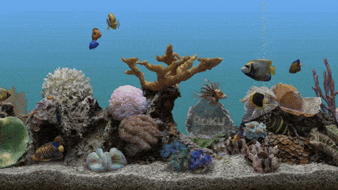 Roku Screensaver Gifs Get The Best Gif On Giphy