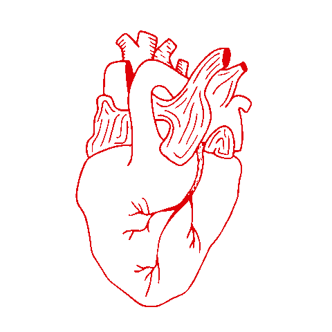 Heart Sticker