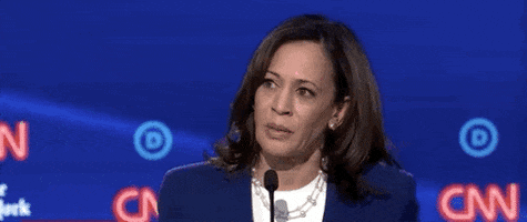 Demdebate GIF by GIPHY News
