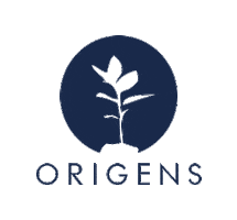 Origens Sticker