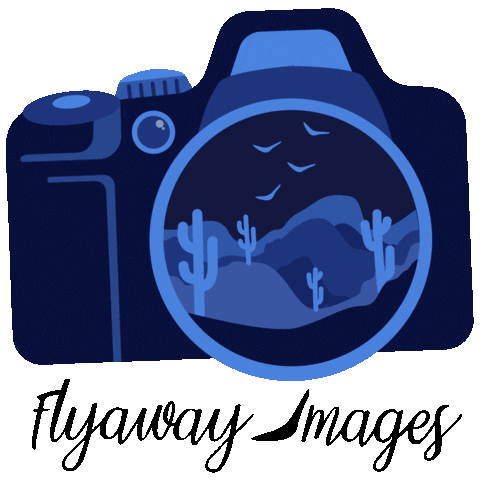 Ela | Flyaway Images Sticker