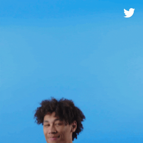 New Orleans Pelicans Sport GIF by Twitter