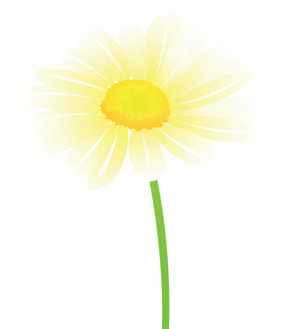 Sun Pays Sticker by Friesland Campina