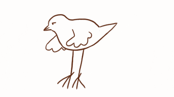 Dance Bird GIF