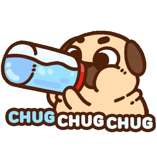 Stay Hydrated Drink Water GIF by Puglie Pug