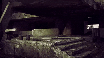 200.gif?cid=fc005b08c2b94739ad13855b2450ad04033a01aaed2cbb00&rid=200.gif&ct=g