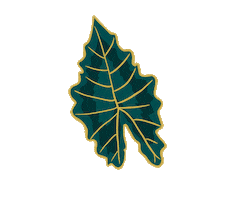 Byalis Sticker by andreaghirelli