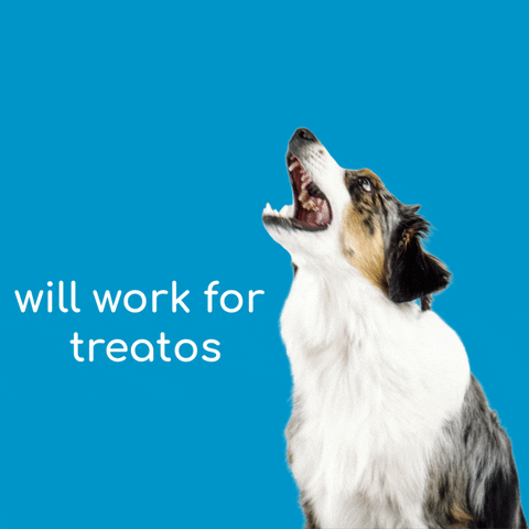 Dog Treats GIF by Blue9PetProducts