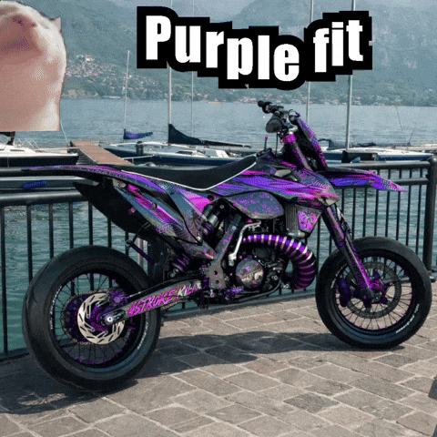 Purple Fit GIF