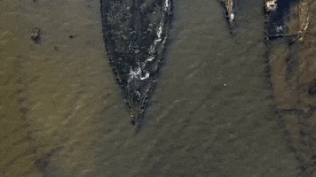 200.gif?cid=fc005b08eeb8cd07543181304e085099d33e229419134ddf&rid=200.gif&ct=g