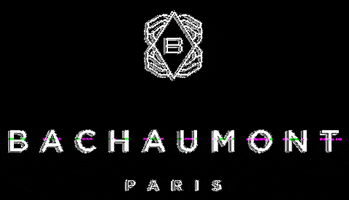 hotelbachaumont GIF