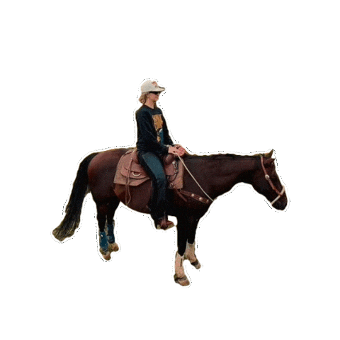 Cant Sit Still Sticker by Lainey Wilson