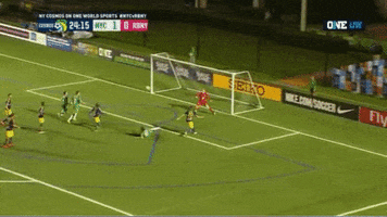 New York Cosmos GIF by ONE World Sports