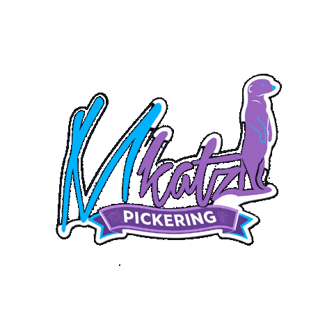 F45 Mkatz Sticker by PickeringF45