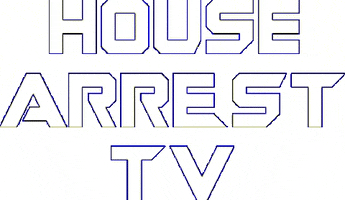 HouseArrestTV music festival live house GIF