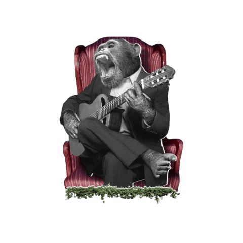 Fiesta Sticker by Recreo