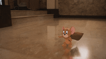 Warner Bros Yes GIF by Tom & Jerry