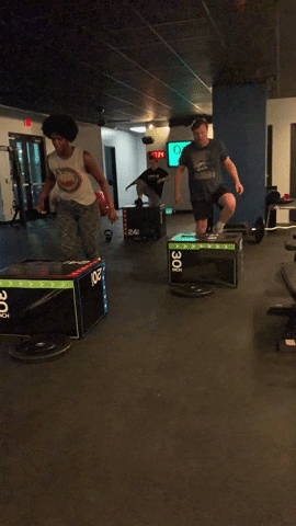 FOCUS FITNESS CHS GIF