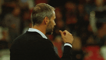 raised fist faust GIF by FC Red Bull Salzburg