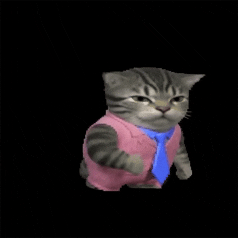 Cat Business GIF by POST-WEB