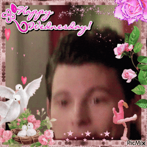 Happy Wednesday GIF