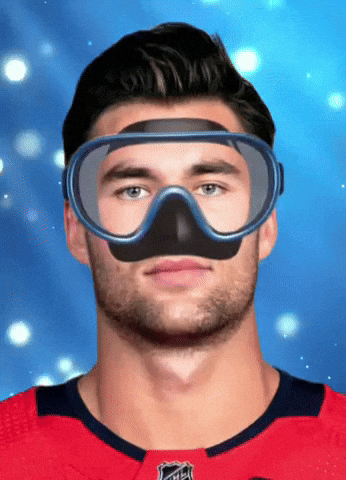 Washington Capitals Hockey GIF