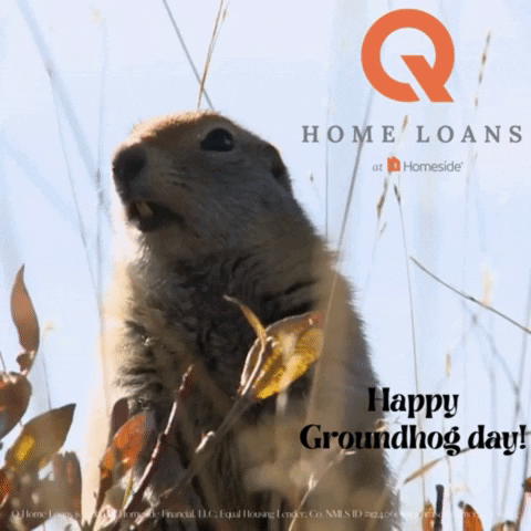 Groundhog Day Homeowner GIF by Q Home Loans