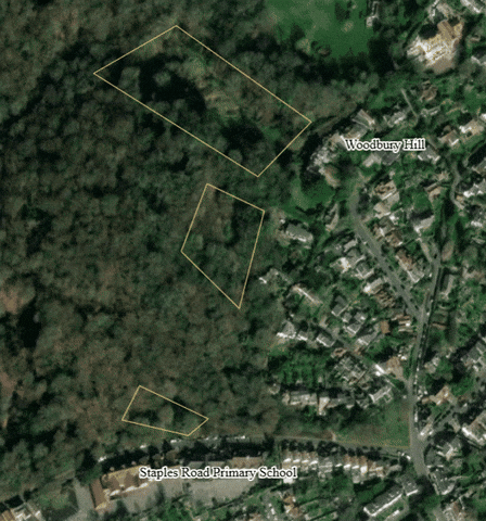 CoL_EppingForest GIF