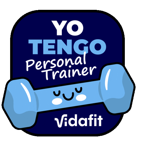 Vidafit Sticker