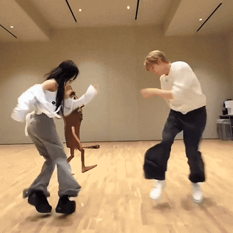 K Pop Fight GIF