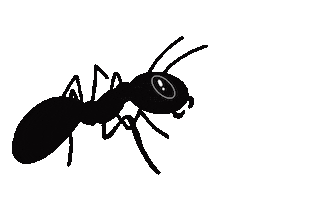 Ant Zusammen Sticker